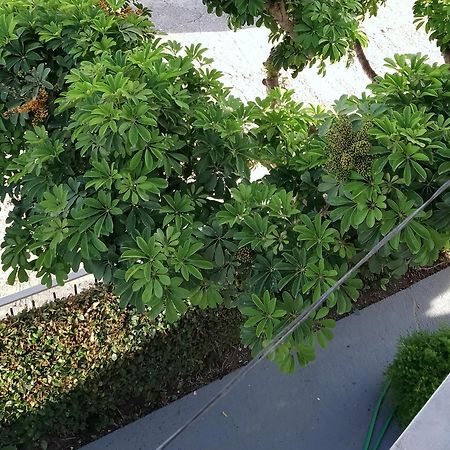 Vicky'S Guesthouse 카보스 외부 사진